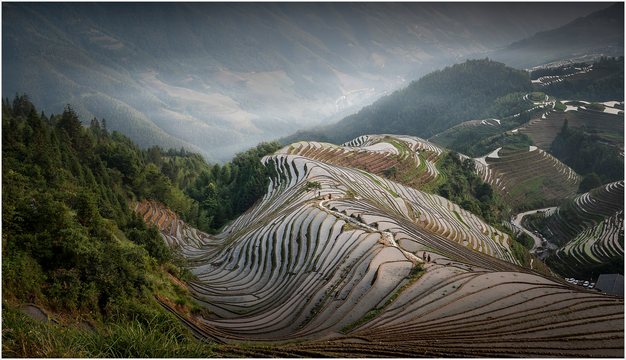 Longji Rice Terraces